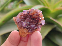 Natural Small Amethystos Amethyst Clusters x 86 From Kwaggafontein, South Africa