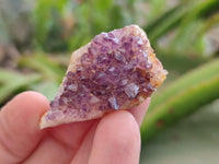 Natural Small Amethystos Amethyst Clusters x 86 From Kwaggafontein, South Africa