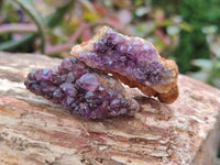 Natural Small Amethystos Amethyst Clusters x 86 From Kwaggafontein, South Africa