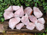 Natural Cobbed Rose Quartz Specimens x 16 From Northern Cape, South Africa