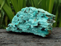 Natural Drusy Coated Chrysocolla with Malachite Specimen x 1 From Lupoto Mine, Congo