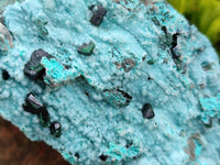 Natural Drusy Coated Chrysocolla with Malachite Specimen x 1 From Lupoto Mine, Congo