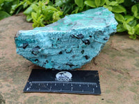 Natural Drusy Coated Chrysocolla with Malachite Specimen x 1 From Lupoto Mine, Congo