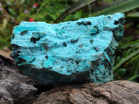 Natural Drusy Coated Chrysocolla with Malachite Specimen x 1 From Lupoto Mine, Congo