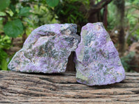 Natural Stichtite Cobbed Specimens x 6 From Barberton, South Africa