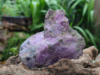 Natural Stichtite Cobbed Specimens x 6 From Barberton, South Africa