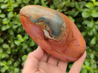 Polished Polychrome Jasper Standing Free Forms x 3 From NW Coast, Madagascar