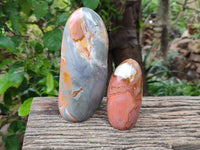 Polished Polychrome Jasper Standing Free Forms x 3 From NW Coast, Madagascar