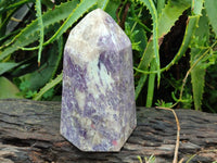 Polished Lepidolite With Pink Rubellite Standing Point x 1 From Ambatondrazaka, Madagascar