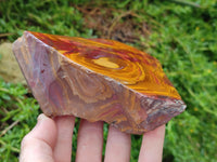 Polished On One Side Nguni Jasper Slabs x 3 From Northern Cape, South Africa