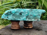 Natural Drusy Coated Chrysocolla On Dolomite Specimens x 3 From Lupoto Mine, Congo