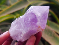 Polished Jacaranda Amethyst Crystals x 12 From Mumbwa, Zambia