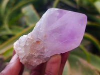 Polished Jacaranda Amethyst Crystals x 12 From Mumbwa, Zambia