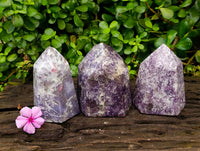 Polished Lepidolite With Pink Rubellite Tourmaline Crystal x 3 From Ambatondrazaka, Madagascar