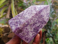 Polished Lepidolite With Pink Rubellite Tourmaline Crystal x 3 From Ambatondrazaka, Madagascar