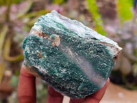 Natural Swazi Jade Cobbed Specimens x 19 From Swaziland