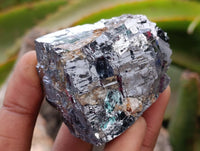 Natural Bright Silver Lead Galena Cobbed Specimens x 12 From Kaokoveld, Namibia