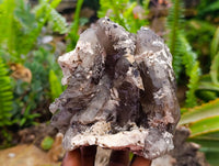 Natural Mixed Specimens x 3 From Southern Africa