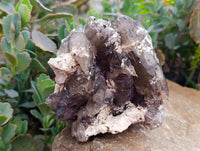 Natural Mixed Specimens x 3 From Southern Africa