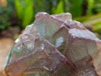 Natural Mixed Specimens x 3 From Southern Africa