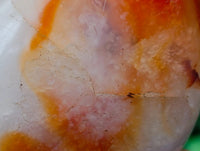 Polished Carnelian Standing Free Forms x 5 From Madagascar