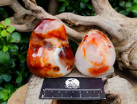 Polished Carnelian Standing Free Forms x 5 From Madagascar