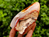 Polished Carnelian Standing Free Forms x 5 From Madagascar