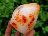 Polished Carnelian Standing Free Forms x 5 From Madagascar