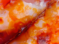 Polished Carnelian Standing Free Forms x 5 From Madagascar