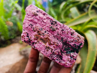 Natural Salrose Specimens x 6 From Kakanda Congo
