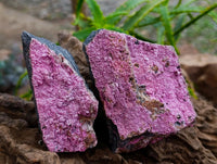 Natural Salrose Specimens x 6 From Kakanda Congo