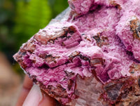 Natural Salrose Specimens x 6 From Kakanda Congo