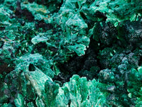 Natural Silky Malachite Specimens x 4 From Kasompe, Congo