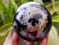 Polished Gabbro 'Merlinite' Spheres x 2 From Madagascar