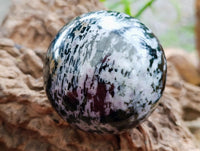 Polished Gabbro 'Merlinite' Spheres x 2 From Madagascar
