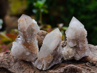 Natural Small Limonite Fairy Spirit Quartz Crystals x 70 From Boekenhouthoek, South Africa