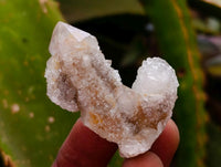 Natural Small Limonite Fairy Spirit Quartz Crystals x 70 From Boekenhouthoek, South Africa