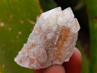 Natural Small Limonite Fairy Spirit Quartz Crystals x 70 From Boekenhouthoek, South Africa