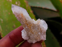 Natural Small Limonite Fairy Spirit Quartz Crystals x 70 From Boekenhouthoek, South Africa