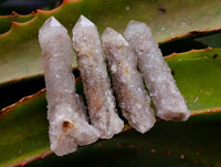 Natural Small Limonite Fairy Spirit Quartz Crystals x 70 From Boekenhouthoek, South Africa