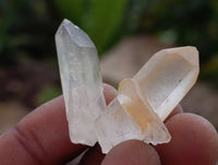 Natural Mine Run Clear Quartz Crystals x 2.95 Kg Lot From Ambatofinandrahana, Madagascar