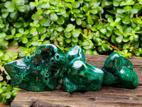 Polished Flower Banded Malachite Free Forms x 3 From Congo