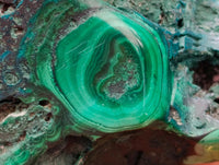 Polished Flower Banded Malachite Free Forms x 3 From Congo