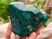 Polished Flower Banded Malachite Free Forms x 3 From Congo