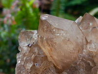 Natural Clear Citrine Quartz Cluster x 1 From Luena, Congo