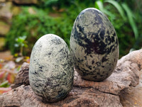 Polished Leopard Free Forms x 12 From Zimbabwe