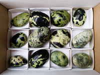 Polished Leopard Free Forms x 12 From Zimbabwe