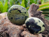 Polished Leopard Free Forms x 12 From Zimbabwe