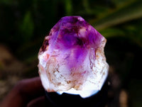 Polished Window Amethyst Crystals x 21 From Ambatondrazaka, Madagascar