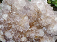 Natural Mixed Spirit Quartz Clusters x 2 From Boekenhouthoek, South Africa